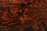 Polished Tiger Iron Stromatolite Slab - Billion Years #178757-1